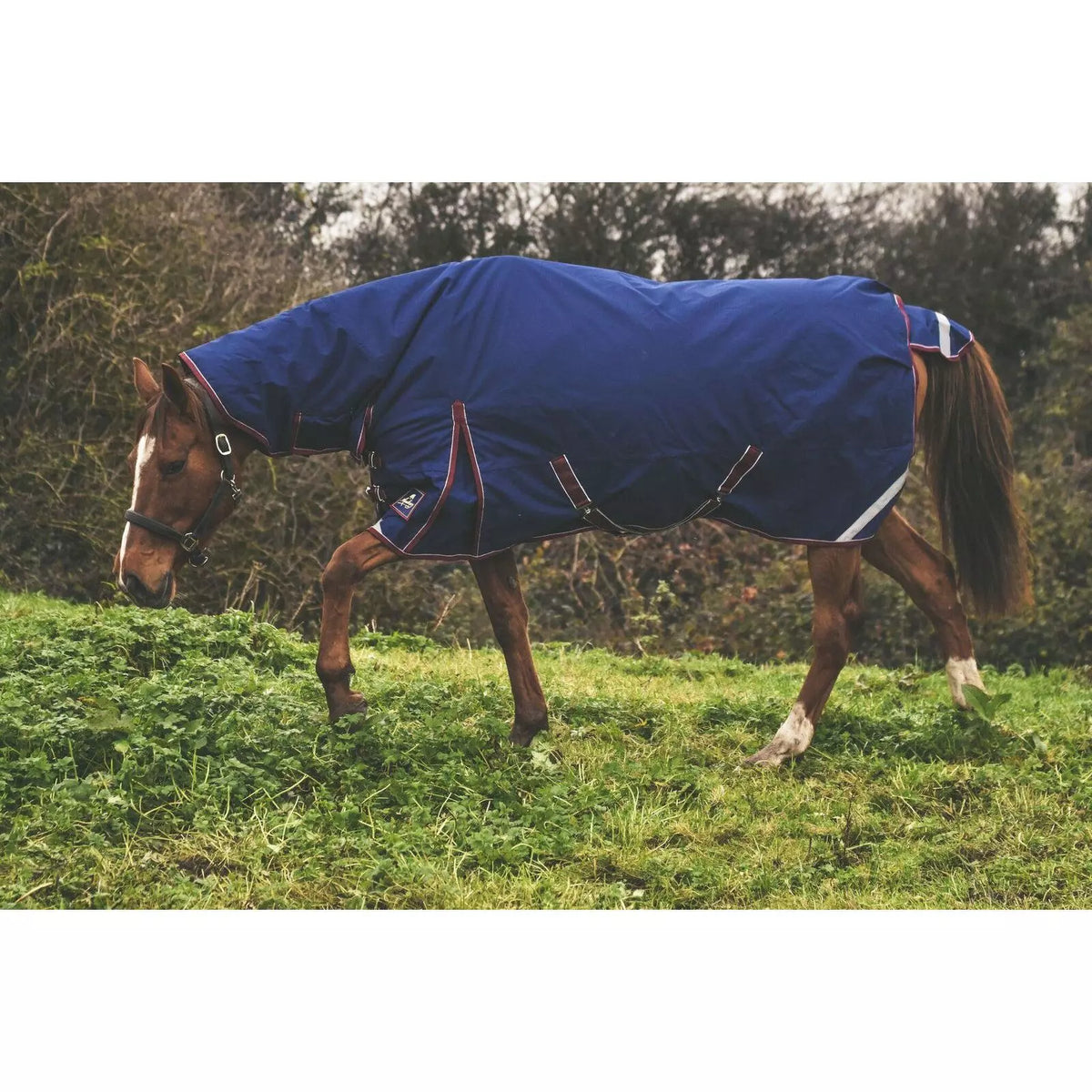 Keadeen Plus 100G Full Neck Turnout Rug The Old Barn Shop