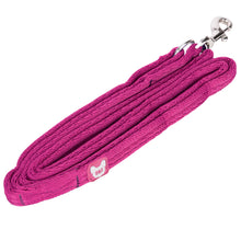 Load image into Gallery viewer, Digby &amp; Fox Cushion Web Dog Lead