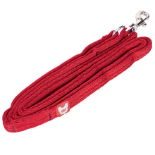 Load image into Gallery viewer, Digby &amp; Fox Cushion Web Dog Lead