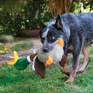 Kong Shakers Duck Dog Toy - Large