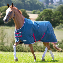 Load image into Gallery viewer, Shires Tempest Original Lite Turnout Rug