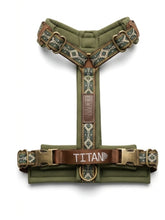 Load image into Gallery viewer, Titan K9® - The Alpine Harness
