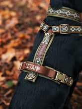 Load image into Gallery viewer, Titan K9® - The Alpine Harness