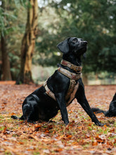Load image into Gallery viewer, Titan K9® - The Alpine Collar