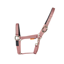 Load image into Gallery viewer, Cameo Field Safe Headcollar