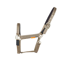 Load image into Gallery viewer, Cameo Field Safe Headcollar