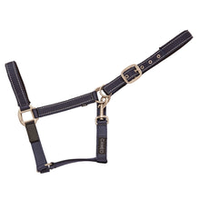 Load image into Gallery viewer, Cameo Field Safe Headcollar
