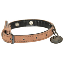 Load image into Gallery viewer, Titan K9® – The Camden Collar