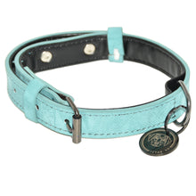 Load image into Gallery viewer, Titan K9® – The Camden Collar