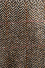 Load image into Gallery viewer, Gurteen Woodstock Spice Herringbone Tweed Jacket