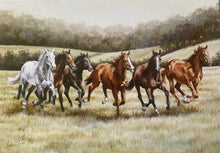 Load image into Gallery viewer, Caroline Cook Greetings Cards