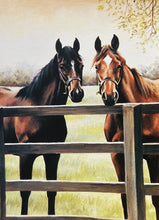 Load image into Gallery viewer, Caroline Cook Greetings Cards