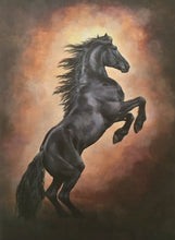 Load image into Gallery viewer, Caroline Cook Greetings Cards