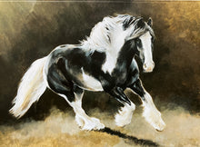 Load image into Gallery viewer, Caroline Cook Greetings Cards