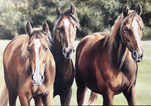 Load image into Gallery viewer, Caroline Cook Greetings Cards