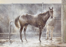 Load image into Gallery viewer, Caroline Cook Greetings Cards