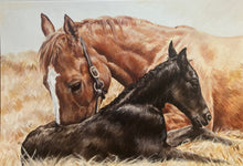 Load image into Gallery viewer, Caroline Cook Greetings Cards