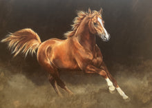 Load image into Gallery viewer, Caroline Cook Greetings Cards