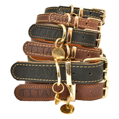 Titan K9® – The Norfolk Collar