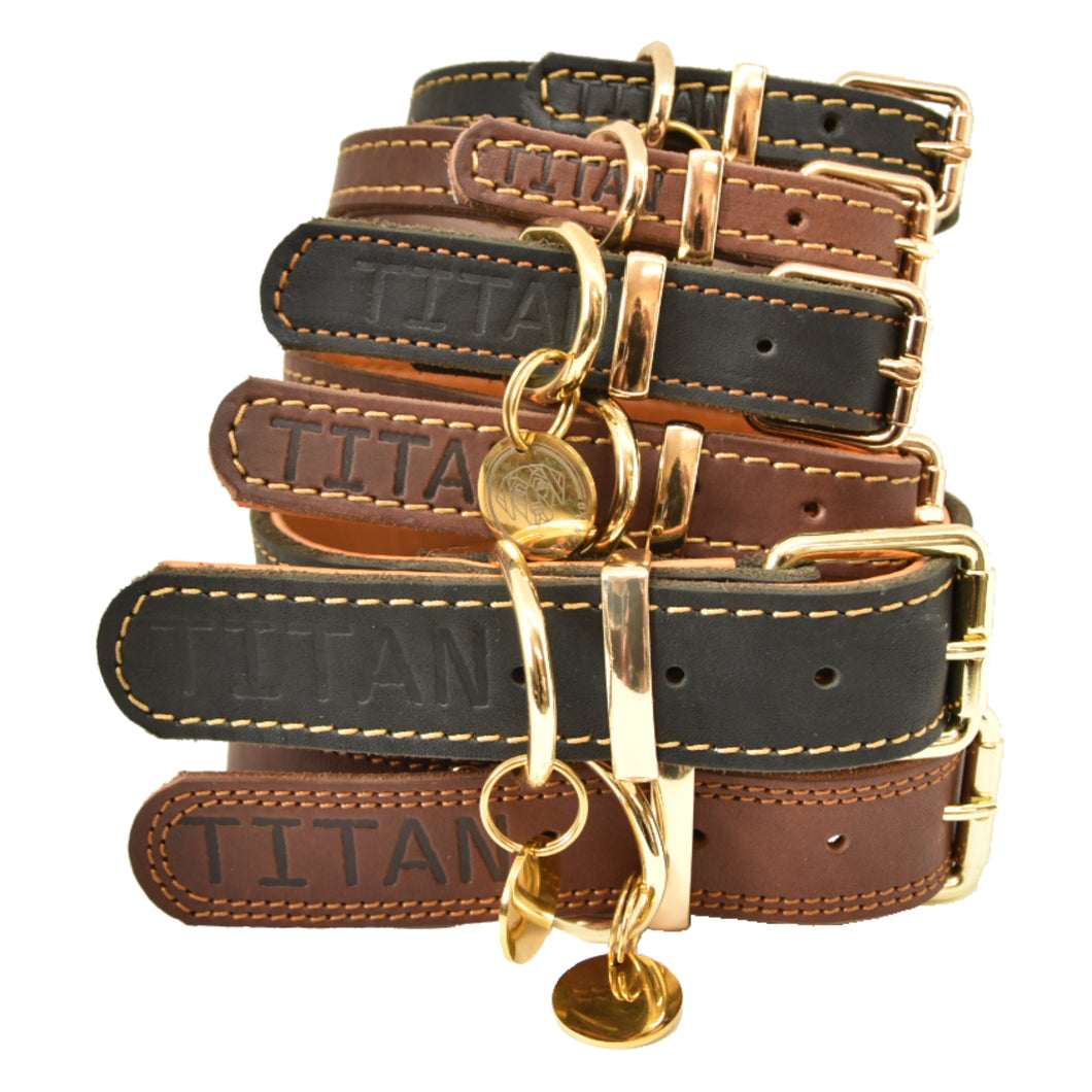 Titan K9® – The Norfolk Collar