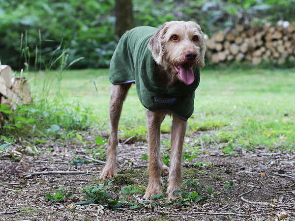 George Barclay Dog Drying Coat by MuttMOP