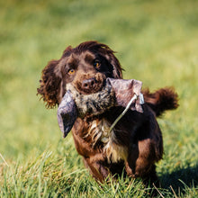 Load image into Gallery viewer, Dog &amp; Field Dummy Rabbit Clone