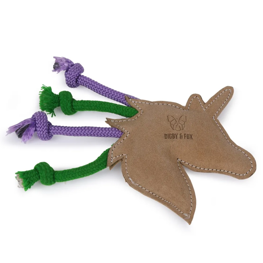 Digby & Fox Natural Leather Dog Toy