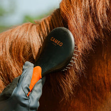 Load image into Gallery viewer, Cameo - Mane &amp; Tail Brush