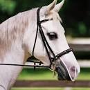 Aerborn Nose Shield