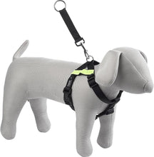 Load image into Gallery viewer, Kumfi Safety Car Harness