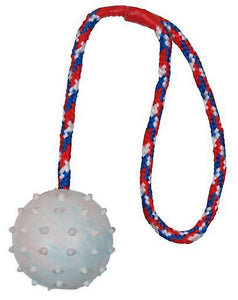 Trixie Ball On A Rope Natural Rubber