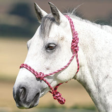 Load image into Gallery viewer, Shires Adjustable Rope Halter