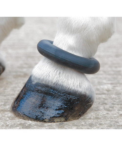 Shires Fetlock Ring