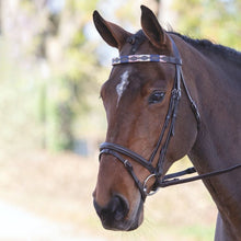 Load image into Gallery viewer, Shires Velociti GARA Leather Polo Browband