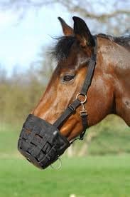Aerborn Grazing Muzzle