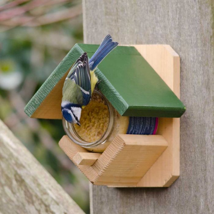 CJ Wildlife National Trust Dublin Peanut Butter Feeder