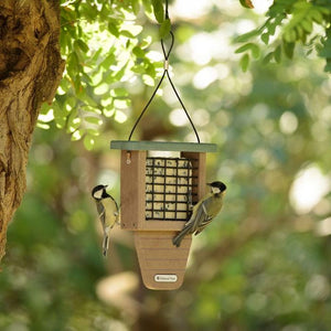 CJ Wildlife National Trust Monte Rosa Recycled  Peanut Cake Feeder