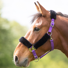 Load image into Gallery viewer, Shires Fleece Lined Headcollar