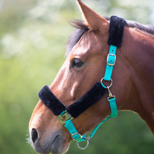 Load image into Gallery viewer, Shires Fleece Lined Headcollar