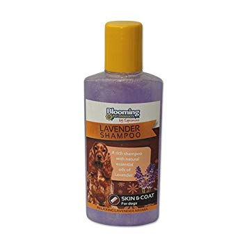 Blooming Pets Lavender Shampoo 250ml