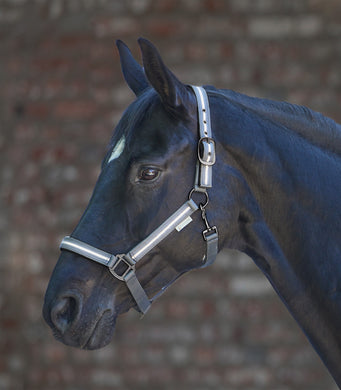 Waldhausen Reflex Stripe Halter