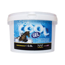 Load image into Gallery viewer, NAF Ice Cool Gel