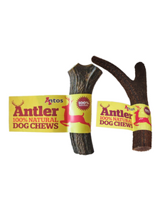 Antos Antler