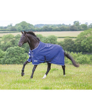 Load image into Gallery viewer, Shires Tempest Original Lite Turnout Rug