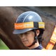 Load image into Gallery viewer, Shires Equi-Flector Hat Band