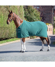 Load image into Gallery viewer, Shires Tempest Original Fleece Rug