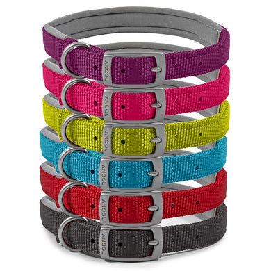 Ancol Viva Padded Buckle Dog Collar