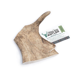 Antos Antler