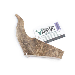 Antos Antler