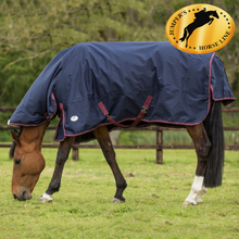 Load image into Gallery viewer, JHL Essential Medium Weight Combo Turnout Rug